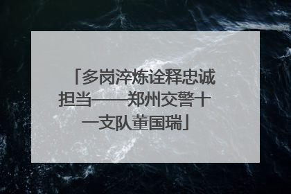 多岗淬炼诠释忠诚担当——郑州交警十一支队董国瑞