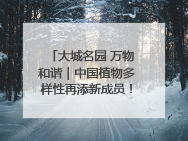大城名园 万物和谐｜中国植物多样性再添新成员！它只在西藏墨脱