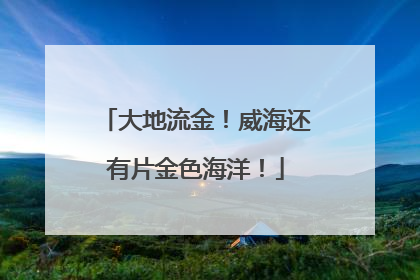 大地流金！威海还有片金色海洋！