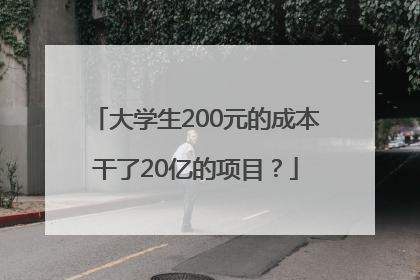 大学生200元的成本干了20亿的项目？