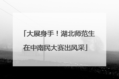 大展身手！湖北师范生在中南民大赛出风采