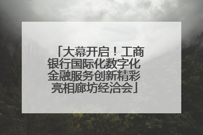 大幕开启！工商银行国际化数字化金融服务创新精彩亮相廊坊经洽会