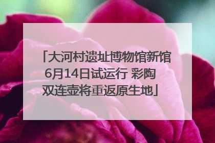 大河村遗址博物馆新馆6月14日试运行 彩陶双连壶将重返原生地