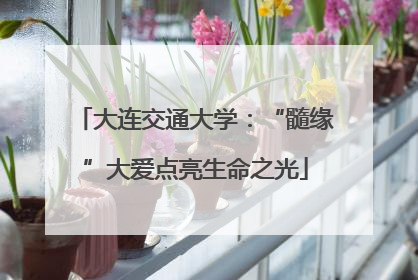 大连交通大学：“髓缘”大爱点亮生命之光