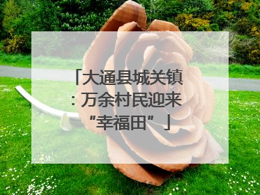 大通县城关镇：万余村民迎来“幸福田”