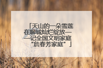 天山的一朵雪莲在聊城灿烂绽放——记全国文明家庭“詹春芳家庭”