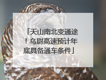 天山南北变通途！乌尉高速预计年底具备通车条件