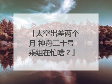 太空出差两个月 神舟二十号乘组在忙啥？