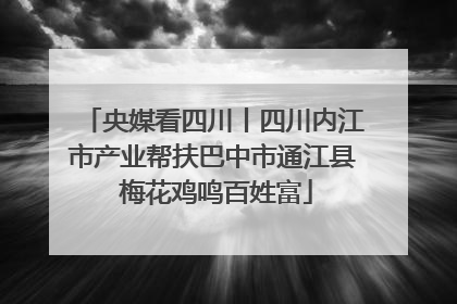 央媒看四川丨四川内江市产业帮扶巴中市通江县 梅花鸡鸣百姓富
