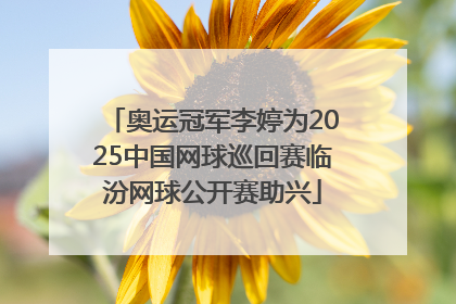 奥运冠军李婷为2025中国网球巡回赛临汾网球公开赛助兴