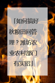 如何搞好秋粮田间管理？潍坊农业农村部门有实招