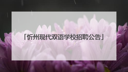 忻州现代双语学校招聘公告