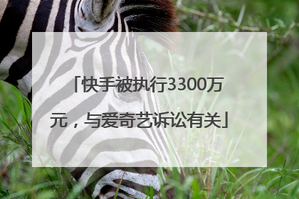 快手被执行3300万元，与爱奇艺诉讼有关