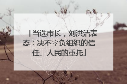 当选市长，刘洪洁表态：决不辜负组织的信任、人民的重托