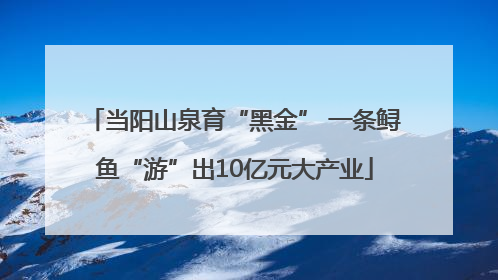 当阳山泉育“黑金” 一条鲟鱼“游”出10亿元大产业