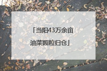 当阳43万余亩油菜颗粒归仓