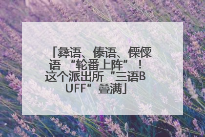 彝语、傣语、傈僳语 “轮番上阵”！这个派出所“三语BUFF”叠满