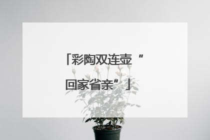 彩陶双连壶“回家省亲”