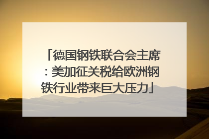 德国钢铁联合会主席：美加征关税给欧洲钢铁行业带来巨大压力