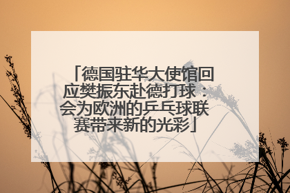 德国驻华大使馆回应樊振东赴德打球：会为欧洲的乒乓球联赛带来新的光彩