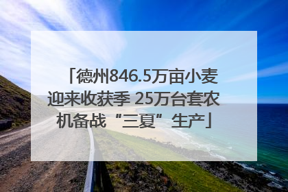 德州846.5万亩小麦迎来收获季 25万台套农机备战“三夏”生产