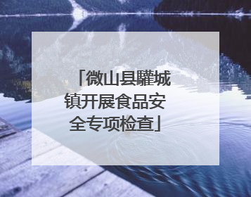 微山县驩城镇开展食品安全专项检查