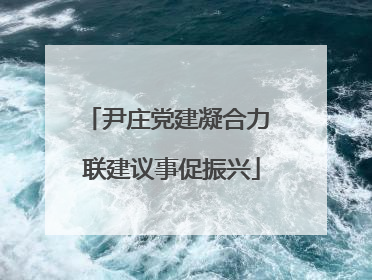 尹庄党建凝合力 联建议事促振兴