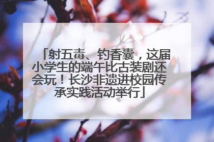 射五毒、钓香囊，这届小学生的端午比古装剧还会玩！长沙非遗进校园传承实践活动举行