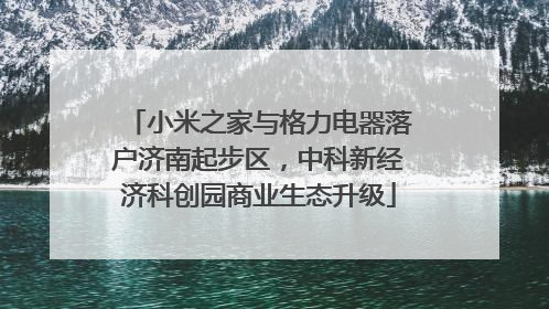 小米之家与格力电器落户济南起步区，中科新经济科创园商业生态升级