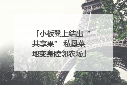 小板凳上结出“共享果” 私垦菜地变身睦邻农场