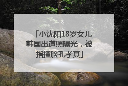 小沈阳18岁女儿韩国出道照曝光，被指撞脸孔孝真