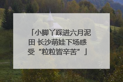 小脚丫踩进六月泥田 长沙萌娃下场感受“粒粒皆辛苦”