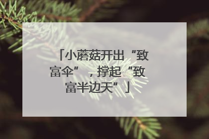 小蘑菇开出“致富伞”，撑起“致富半边天”