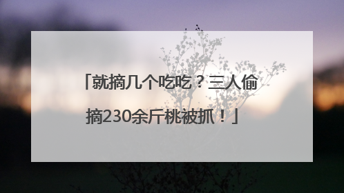 就摘几个吃吃？三人偷摘230余斤桃被抓！