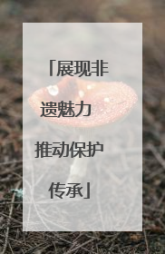 展现非遗魅力 推动保护传承