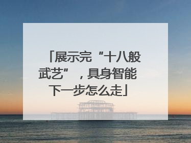 展示完“十八般武艺”，具身智能下一步怎么走