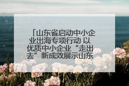 山东省启动中小企业出海专项行动 以优质中小企业“走出去”新成效展示山东产业发展新形象