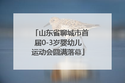 山东省聊城市首届0-3岁婴幼儿运动会圆满落幕