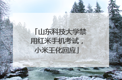 山东科技大学禁用红米手机考试，小米王化回应