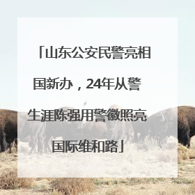 山东公安民警亮相国新办，24年从警生涯陈强用警徽照亮国际维和路