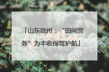 山东德州：“田间警务”为丰收保驾护航