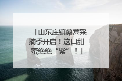 山东庄镇桑葚采摘季开启！这口甜蜜绝绝“紫”！