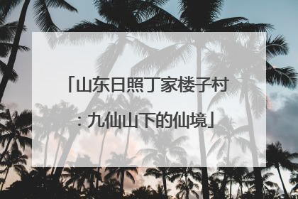 山东日照丁家楼子村：九仙山下的仙境
