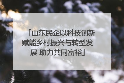 山东民企以科技创新赋能乡村振兴与转型发展 助力共同富裕