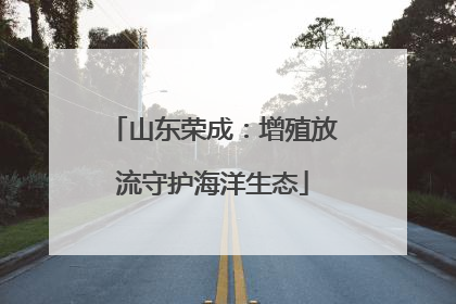 山东荣成：增殖放流守护海洋生态