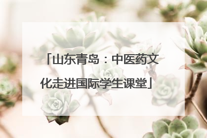 山东青岛：中医药文化走进国际学生课堂