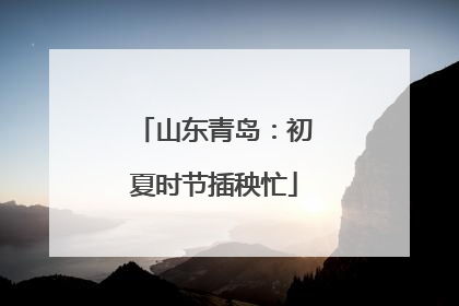 山东青岛：初夏时节插秧忙