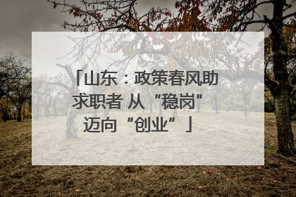 山东：政策春风助求职者 从“稳岗”迈向“创业”