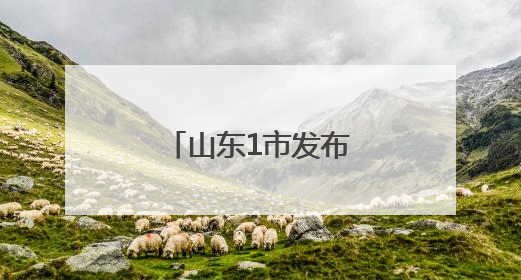 山东1市发布最新人事任免