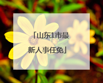 山东1市最新人事任免